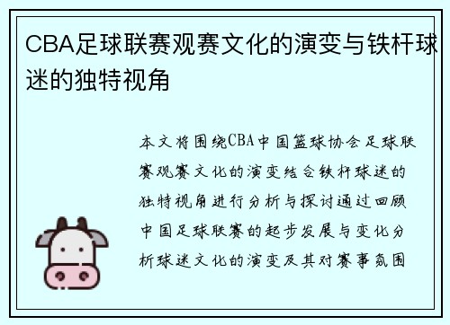 CBA足球联赛观赛文化的演变与铁杆球迷的独特视角