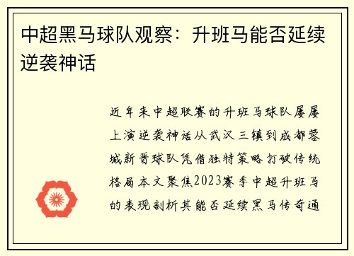 中超黑马球队观察：升班马能否延续逆袭神话